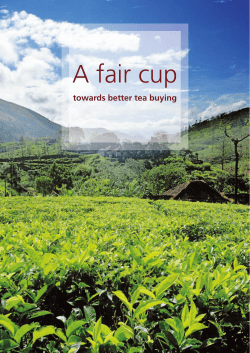 A fair cup - Traidcraft
