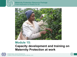 Capacity development and training on Maternity Protection at work