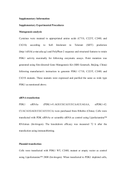 Supplementary Information Supplementary Experimental