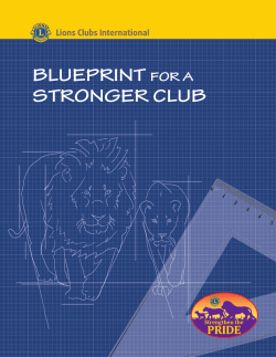BLUEPRINT FOR A STRONGER CLUB