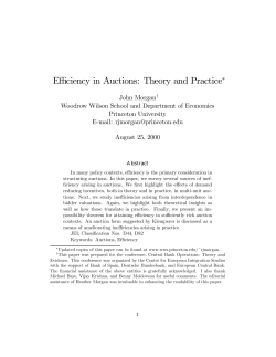 Efficiency in Auctions: Theory and Practice