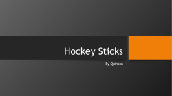 Hockey Sticks