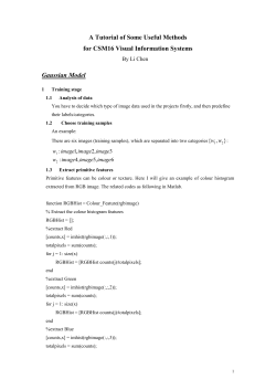 The Tutorial of Projects for the Module: Visual Intelligent Systems
