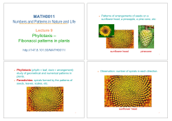 MATH0011 Numbers and Patterns in Nature and Life