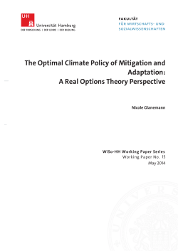 The Optimal Climate Policy of Mitigation and - WiSo