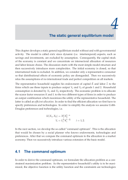 The static general equilibrium model 4.1 The command optimum