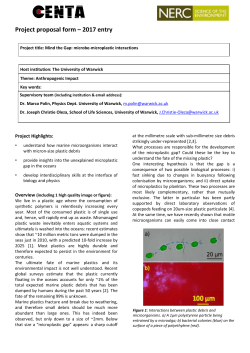 Mind the Gap: microbe-microplastic interactions