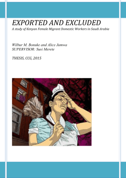 How efficient are the international labor standards in relation to the