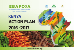 action plan 2016 -2017 kenya
