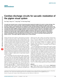 Corollary discharge circuits for saccadic modulation of the pigeon