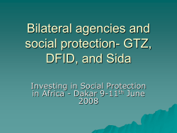Bilateral agencies and social protection