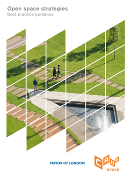 Open space strategies - Institute of Designers in Ireland