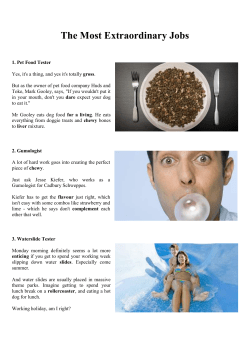 The Most Extraordinary Jobs
