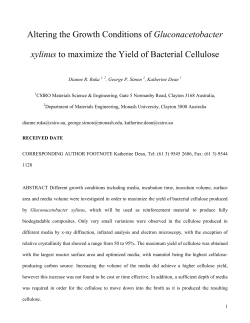 Altering the Growth Conditions of Gluconacetobacter xylinus to