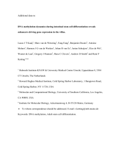 Additional data to: DNA methylation dynamics during intestinal stem
