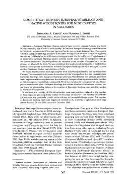 competition between european starlings and native woodpeckers for