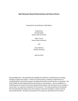 Beef Demand Summary Report 2013