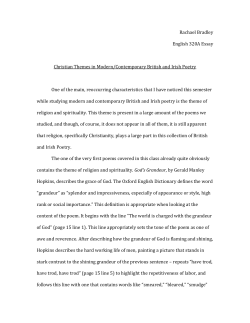 Essay 1