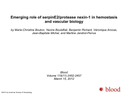 Powerpoint - Blood Journal