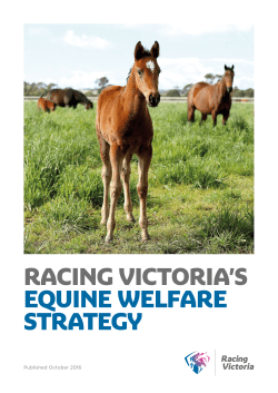RACING VICTORIA`S EQUINE WELFARE STRATEGY