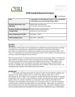 Contribution of playing surface to rate of injury