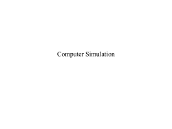 Computer simulation