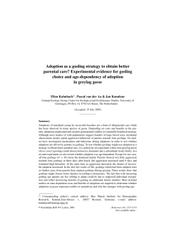 Adoption as a gosling strategy to obtain better parental care