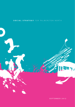 social strategy for palmerston north