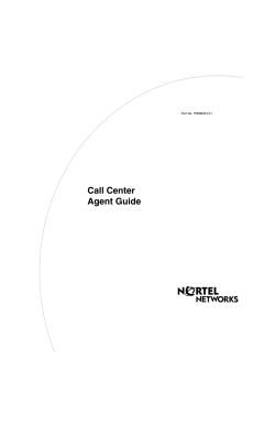 Call Center Agent Guide