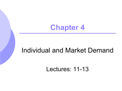Income and Substitution Effects