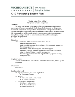 K-12 Partnership Lesson Plan