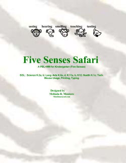 Your WebQuest Name Here