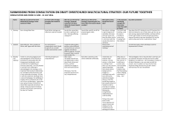 Draft Multicultural Strategy submissions