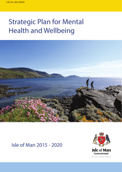 Strategic Plan for Mental Health and Wellbeing 2015