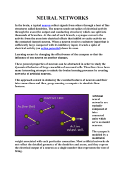 neural networks - UMMTO E