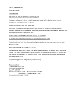 PUPIL PREMIUM 11/12 FORECAST 42,500 Planned spend