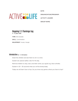 Hopping 1.1: Flamingo tag