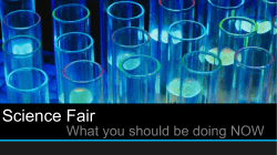 Science Fair part 2