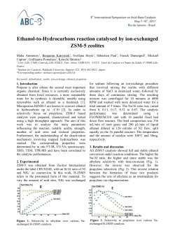 Ethanol-to-Hydrocarbons reaction catalysed by ion