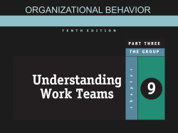 Organizational Behavior 10e - Stephen P. Robbins