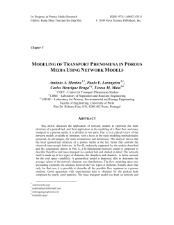 modeling of transport phenomena in porous media using network