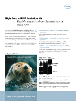 High Pure miRNA Isolation Kit