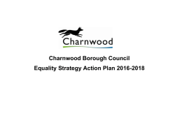 Equality Strategy Action Plan 2017/18
