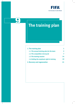 FIFA Youth Development Training Plan