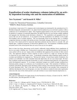 Equalization of ocular dominance columns induced by an