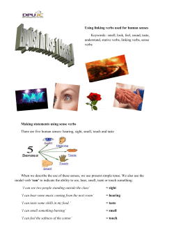 English In Use 1 Self Study Class 4 Describing senses