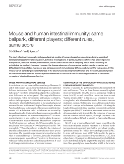 Mouse and human intestinal immunity: same ballpark, different