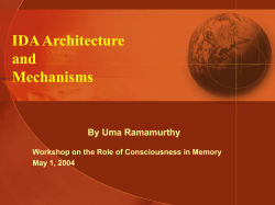 IDA Architecture and Mechanisms