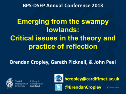 Emerging from the swampy lowlands: Critical issues in the theory