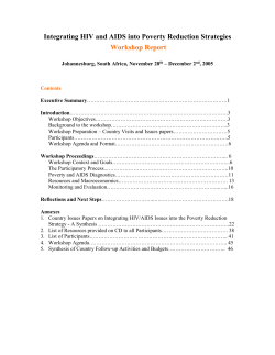 PRSP Workshop Report Outline